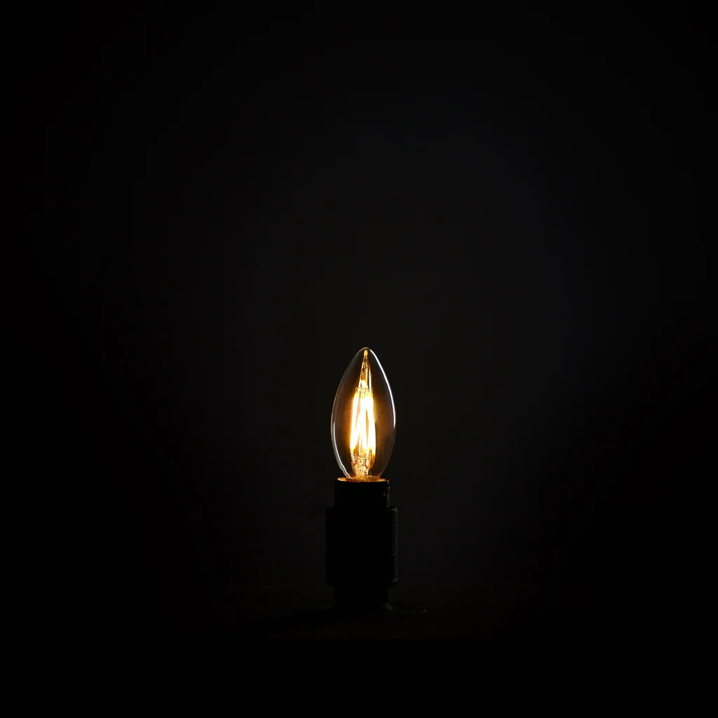 Iris Bulb - Image 5